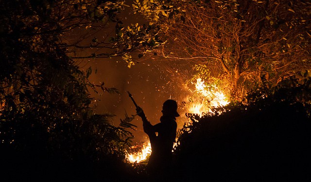 Firefighters fight fire at night. Outside Palangka Raya, Central Kalimantan. Photo by Aulia Erlangga/ CIFOR