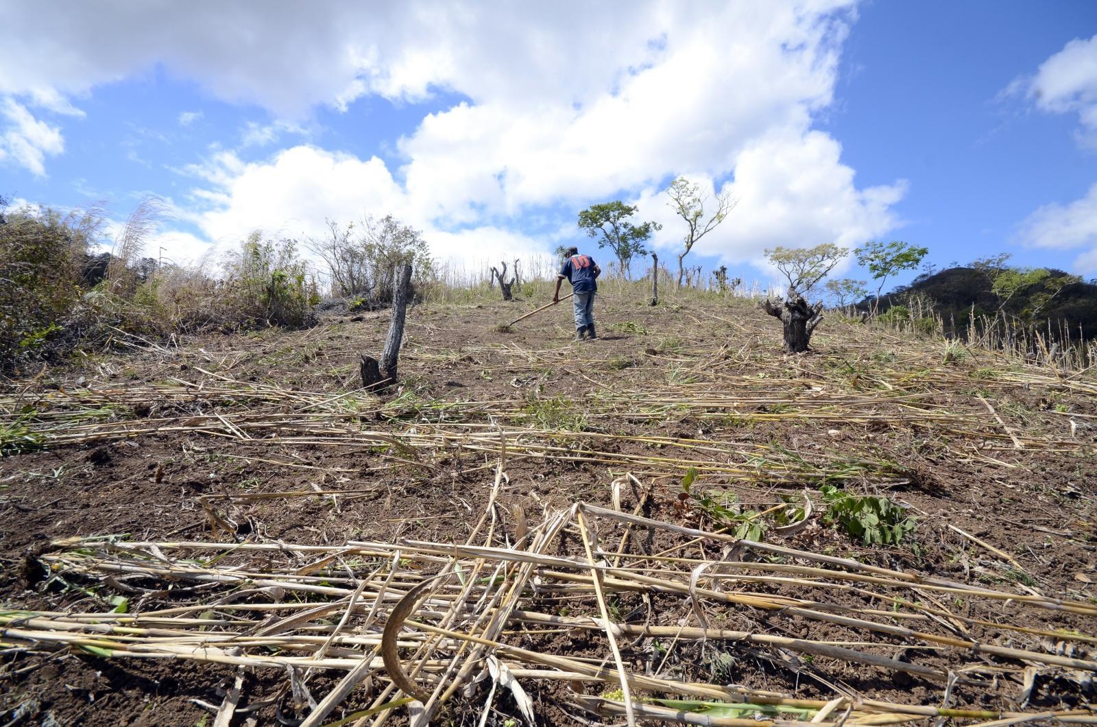 Restoration in Nicaragua (Photo: CIAT)