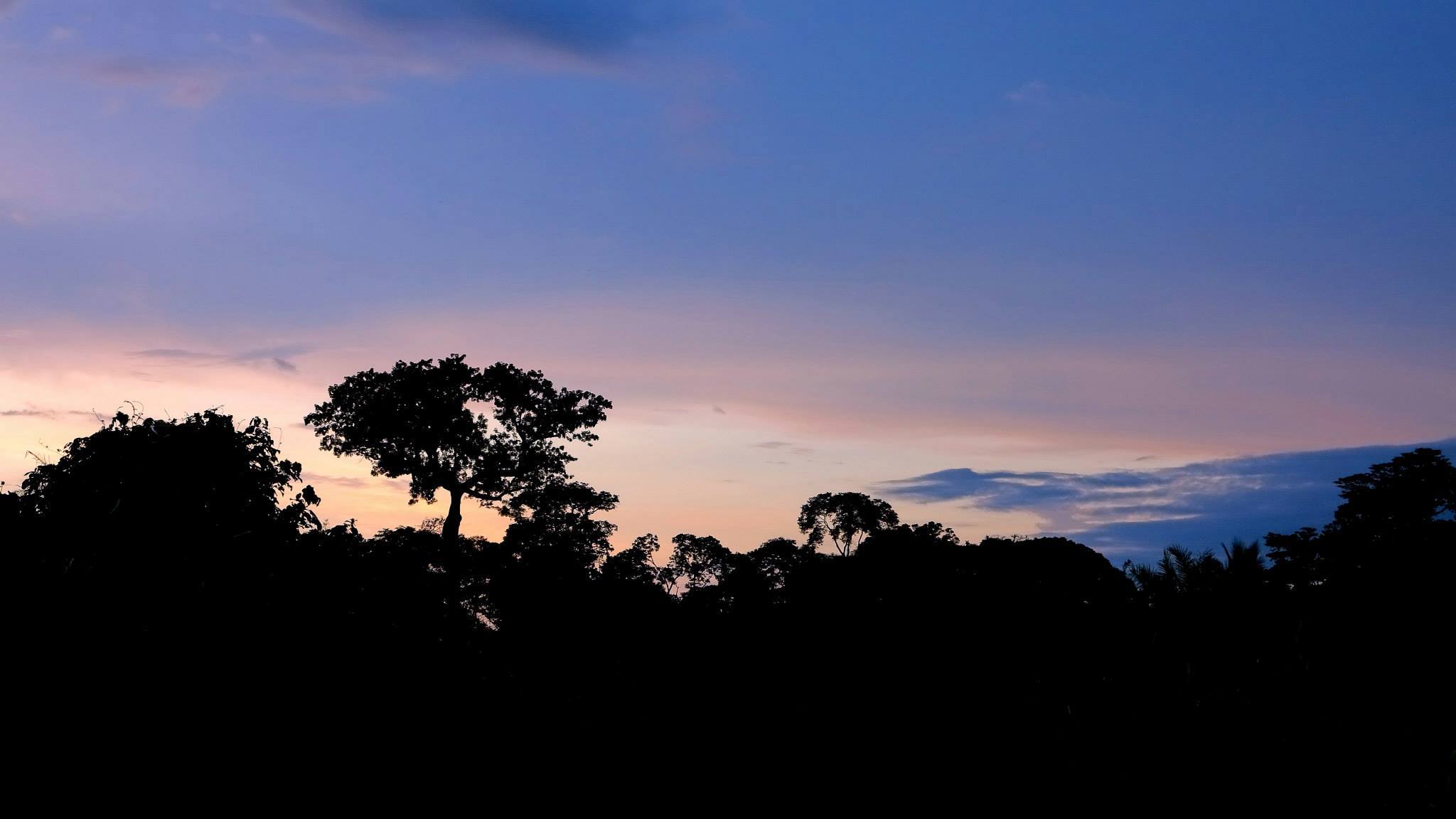 Southwest Cameroon. Photo: Michaela Lo/University of Copenhagen