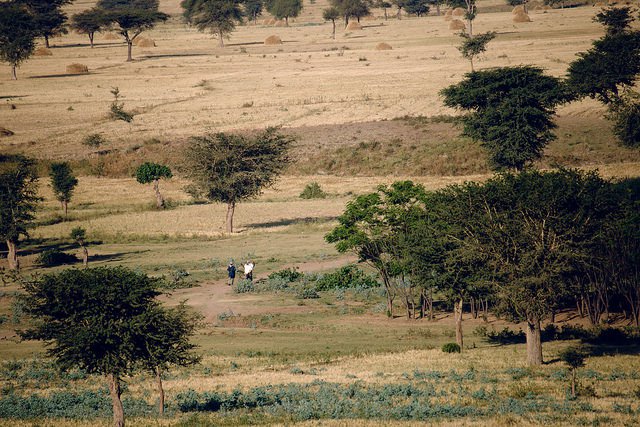 Mixed landscape around Lake Lagano area, Ethiopia. Ollivier Girard / CIFOR.
