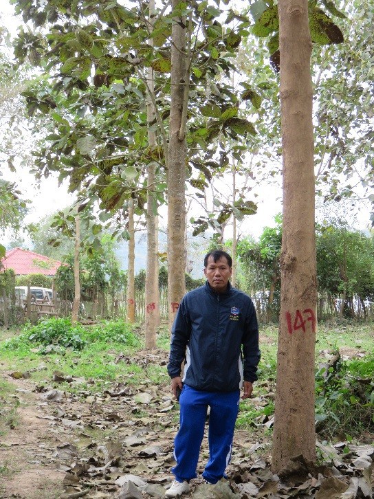 7.5 year old wide spaced teak at NAFC