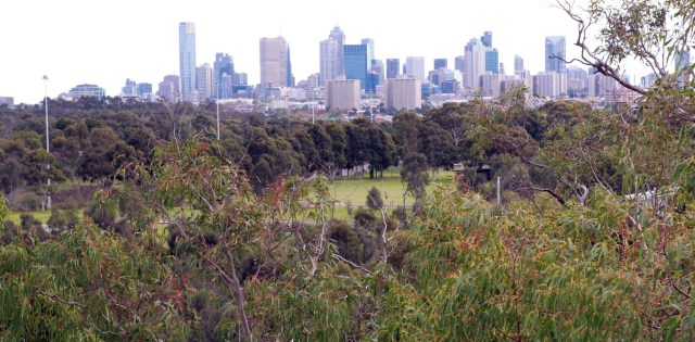Continued development of our cities is putting pressure on urban green spaces. AAP/David Crosling