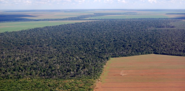 Soy fields in Brazilian Amazon rainforest. Frontpage/www.Shutterstock.com