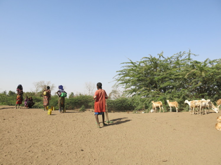 In semi-arid areas, climate information that is tailored to farmers' needs can reduce their vulnerability to climate change. Lucia Scodanibbio