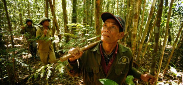 rainforest patrol workers in Viet Nam as part of the Forest Ecosystem Services unit (Asian Development Bank creative commons license).