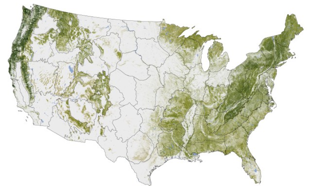Tree cover and carbon storage in the United States (NASA Earth Observatory creative commons license).