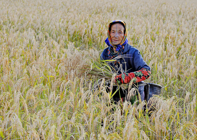 Apatani-Woman-small