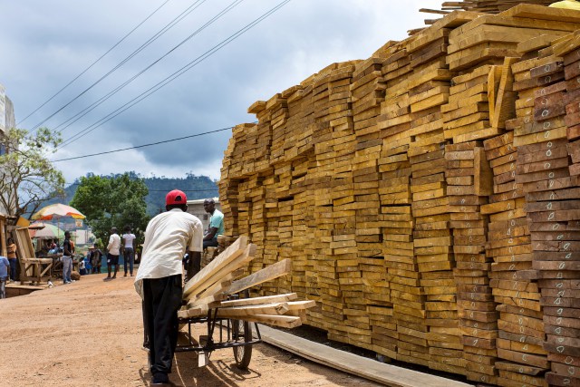 wood market cameroon